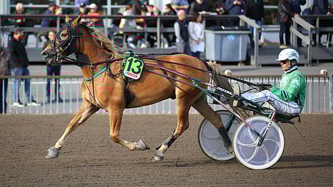 Vapassi hakee kauden neljättä voittoaan.