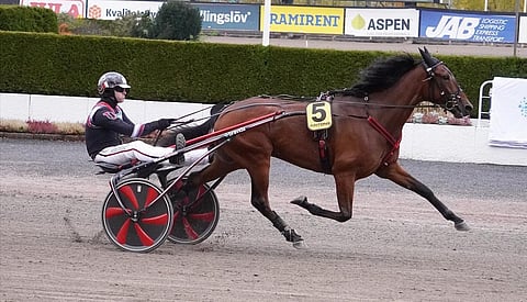 Boscha Diablo voitti sunnuntain ensimmäisen BC-välierän.