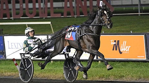 Valtavan pitkäjalkainen Karl harppoi Meadowlandsin maalisuoraa muiden edellä. Kuva: