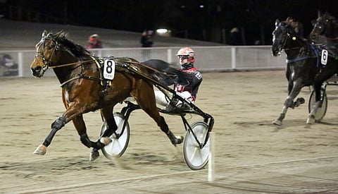 Staro Quincy vakuutti viimeksi.