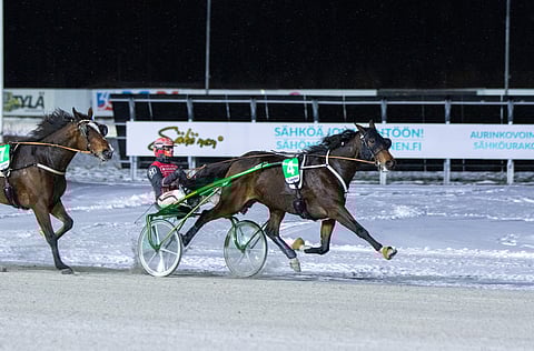 Uransa 23 startistaan vain kuusi hävinnyt Bosse Nice vakuutti jälleen.