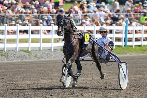 Top Hit pörräsi 16. heinäkuuta Mikkelissä ylikierroksilla ja pilasi laukkaan, mutta sen jälkeen ori on rauhoittunut jokaiseen starttiin.