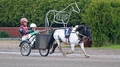Paraponilähdön ykköset Jive, vihreätakkinen Eetu Fossi ja apuohjastaja Santtu Raitala.