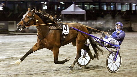 Papa Rock kilpailee Rommessa.