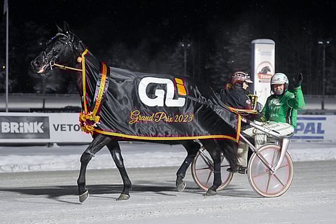 Show Must Go On voitti joulukuun alkupuolella GLi Grand Prix'n.