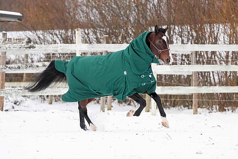 Mandela Zon kuvattuna marraskuun 23. päivä Seinäjoella.