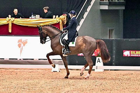 Terhi Stegars ja Bartlgut's Quadrofilius neljän tähden GP:ssä Itävallassa 7.12.2023