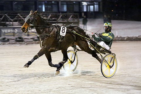 ”Nyt hevosesta tulee päällimmäisenä mieleen kiitollisuus. Tuollaiset hevoset ovat hienoja, jotka kiittävät niiden eteen tehdystä työstä”, Isto Kuisma kehuu hermostuneesta herrasmieheksi muuttunutta Nemea Icemania.