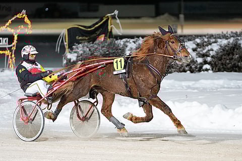 Vale-Elli päätti viime kautensa Seinäjoella voittamalla Varsakunkku-finaalin selvällä erolla.