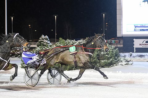 Marjo-Kristiina Niemisen ja Fire-tallin omistama Grainfield Aiden juoksi uransa 37:nnen voittonsa.