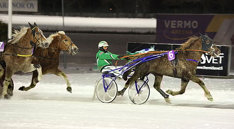 Rallin Muisto on tottunut menestymään Vermossa.