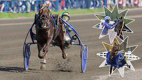 Mikä oli sinusta vuoden 2024 kovin raviteko?