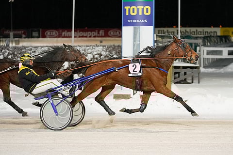 Kyle Web oli hiljattain paras Seinäjoella ajetussa hopeadivisioonakarsinnassa.