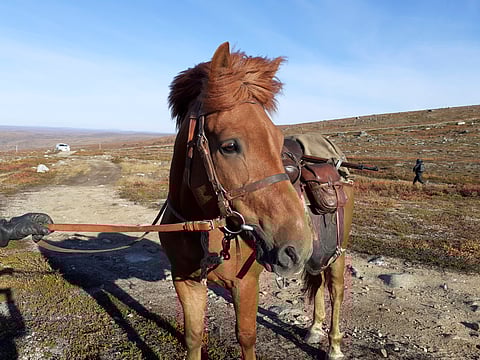 Kumiukko kullankaivajan varusteissa Nuorgamin tuulisilla tuntureilla, missä Sisu-elokuvaa kuvattiin elokuussa 2021.