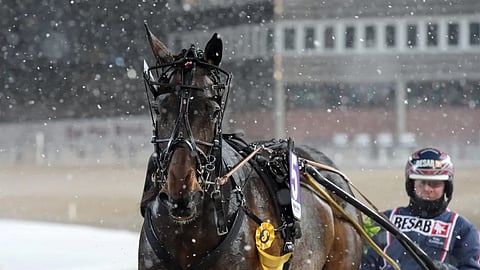 Heartbeat Julie ja Ville Karhulahti valloittivat Solvallan.