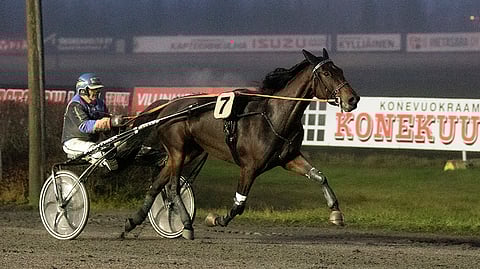 Afterglow ja Arto Laaksonen ovat olleet voittoisa parivaljakko.