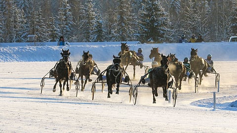 Kovien pakkasten ennustetaan palaavan ensi viikolla, mikä tuo kysymysmerkin ravien ylle.