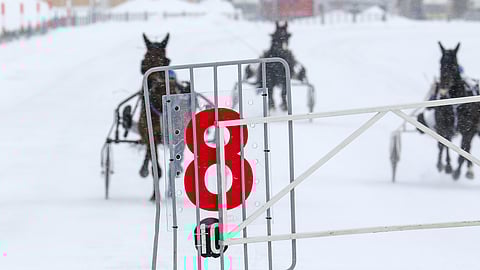 8. helmikuuta ravit ajetaan aikaistetulla aikataululla.
