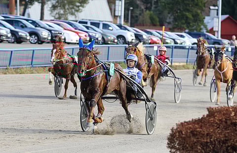 Issakan Valo on startannut ennen lauantaita 96 kertaa. Oriin voittoprosentti on komeat 44 ja sijaprosentti peräti 64. Sen voittosumma lähestyy 100 000 euron rajapyykkiä.