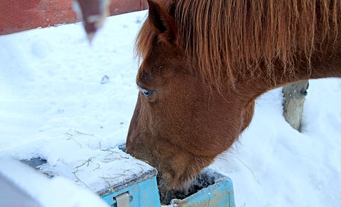 Kovimmat pakkaset tuovat haasteita lämmitettäville, vesiliitäntäisille kupeillekin.