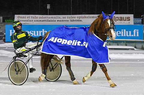 Kukkarosuon Kurko vakuutti edellisessä Toto75-voitossaan.