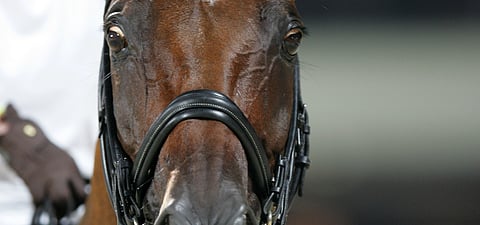 Mitä se miettii? Miten kokee?
Sitä miettii tänä päivänä hyvin moni.