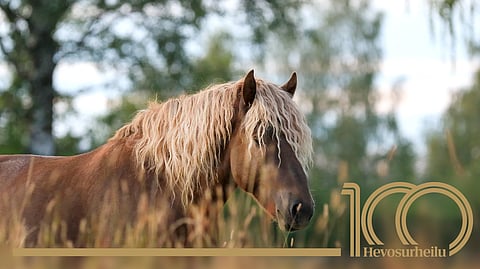 Kuvan Köpernikus yritettiin nimetä Tsiisukseksi, mutta nimi ei mennyt läpi, vaikka perusteluiksi vakuuteltiin, että esikuvana on Kingi-ohjelman sketsihahmo Tsiisus Nieminen. Kopernikus oli käytössä, joten Köppisen varsalle nimeksi tuli Köpernikus.