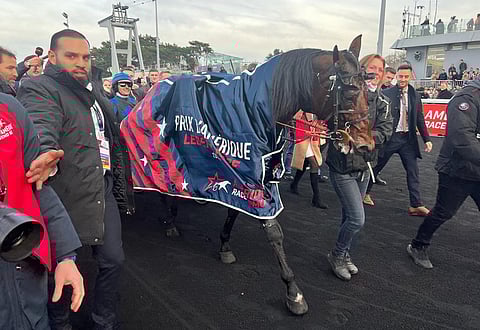 Prix d'Amérique-voittaja Idao de Tillard.