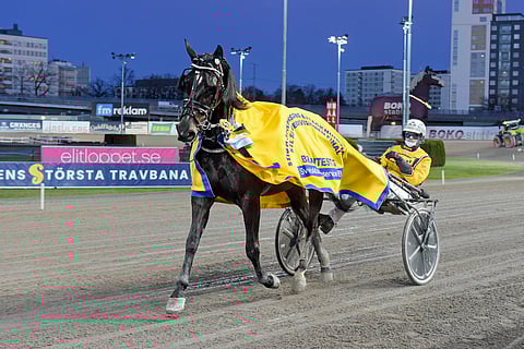 Global Classified ja Magnus A Djuse.