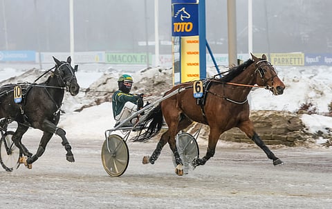 MAS Flash voitti helmikuun lopussa Toto75-lähdön Kouvolassa.