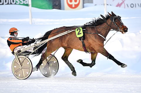 Marlon Boko debytoi Suomessa komeasti.
