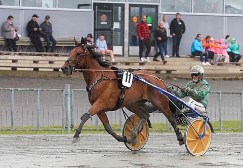 Ari Moilanen on ajanut valtaosan Big Shotin Suomen starteista.