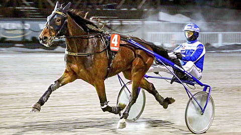 Roberto Classico viimeisin startti Vermossa päättyi voittoon.