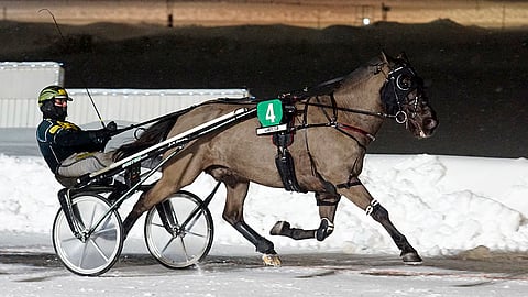 Hannu Torvisen keulataktiikka Tero Silvaksen valmentamalla Mustamanilla osoittautui oikeaksi. Edellinen voitto oli vuodelta 2021.