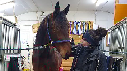 Gallinago Snipes tutusteli uuteen hoitajaansa Iida Lindiin.