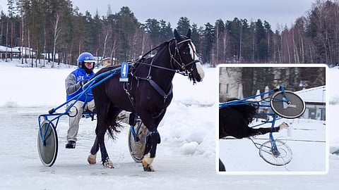 Backeblixtenin sivuloikka Kangasniemen jääraveissa johti irtipääsyyn.