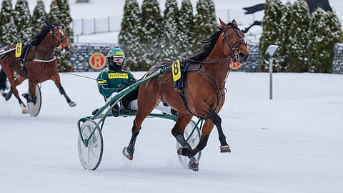 Tiger Hill on päätskohteen itseoikeutettu suosikki.