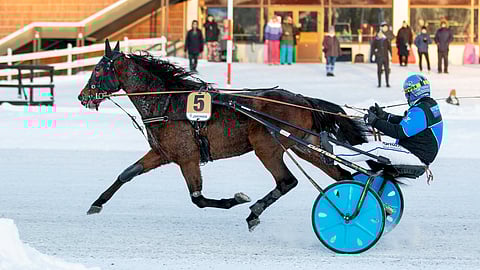 Juha Utala ja Lucky Flevo ovat päivän ideavaljakko.