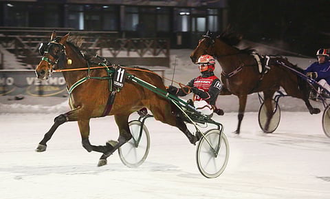 Santtu Raitala ohjastaa keskiviikkona Vermossa molempia Juho Ihamuotilan valmennettavia. Kuvassa Raitala ajaa voiton Think Bigillä.