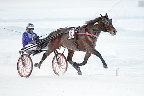 Jarmo Saarela sai lasketella Hierro Bokon kyydissä muilta karkuun.