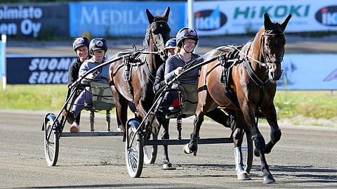 Ravikoulun hevoset Angel Sky eli Sulo ja BWT Alarm eli Lauri tuovat iloa niin pienille kuin isommillekin harrastajille.