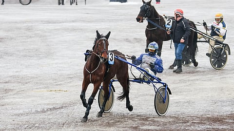 Talvi tekee tuloaan myös pääkaupunkiseudulle.