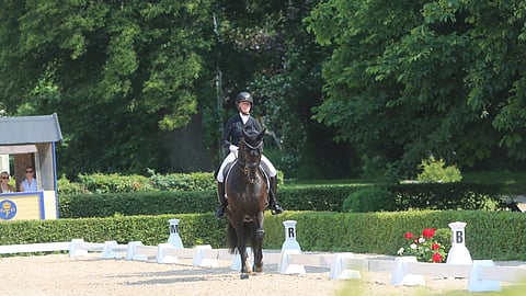 Sir Fashion starttasi viimeksi Flyingessä.