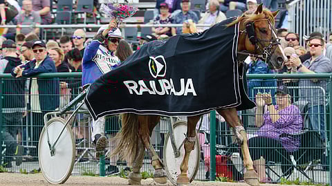 Eräsmiehen vastoinkäymiset alkoivat Seinäjoen vuoden 2021 Kuninkuusravien voiton jälkeen.