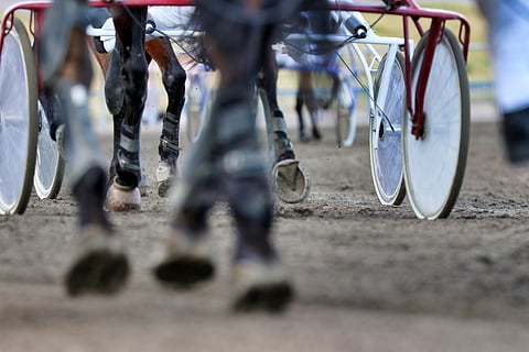 Vakuutusyhtiöiden käytännöt siinä, myönnetäänkö niistä vakuutuksia kimppahevosille, vaihtelevat.