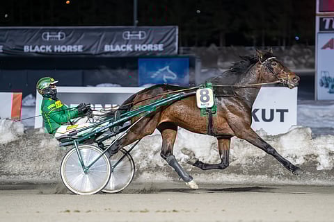 Return Of Wurst on juossut kauden aikana rahaa jo 14 100 euroa. Tyylinäyte Teivosta 12. maaliskuuta Jukka Torvisen ajamana.