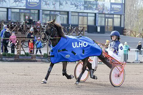 Maria Kiukaan valmentama Ekstrands Bärgarn on suomalaisista toistaiseksi vuoden nopein b-poni, jolla on osallistumisoikeus PM-kisoihin.