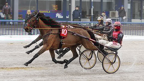 Bluehill's Ghost on toisen kohteen suosikkeja.