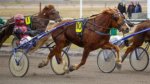 Pasi Teinin valmentama Vikken Eemeli on aloittanut kauden hienosti.