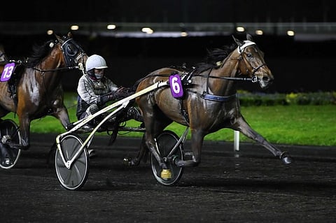 Gardner Shaw kirii voittoon. Sahara Jaeburn on kakkonen.